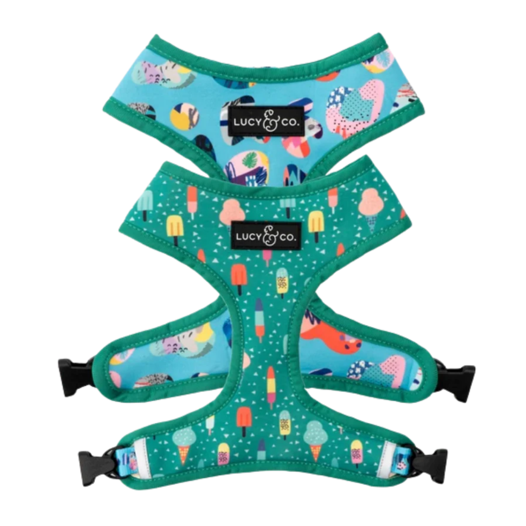 Lucy & co sales harness